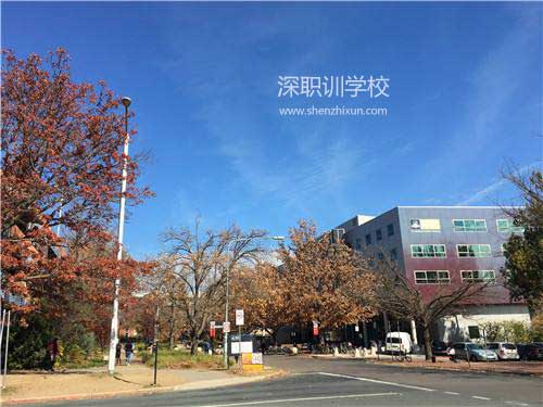 成人高考多少分可以过 成人高考多少分可以过
