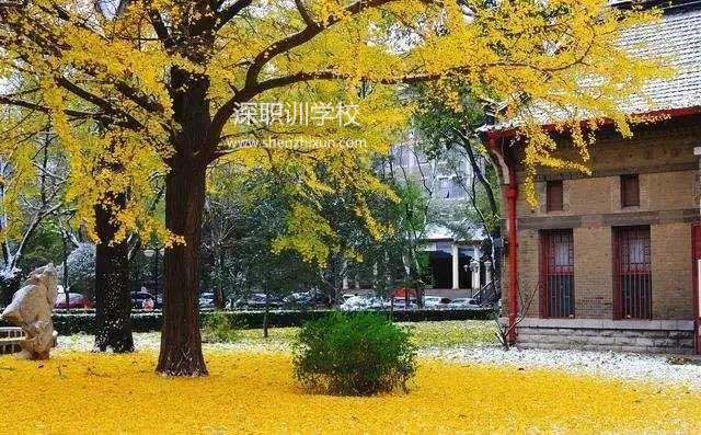 深圳成人高考 深圳成人高考