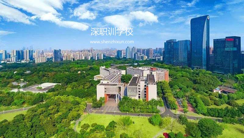成人网络教育 成人网络教育